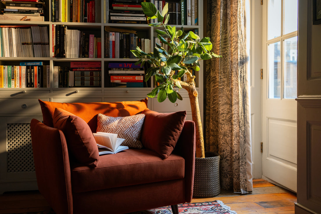 Spring-Inspired Colour Palettes for Your Next Home Makeover
