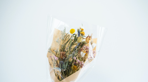 Our pick of the best dried flowers and preserved petals