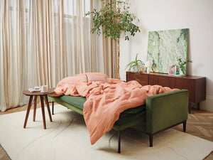 model 02 sofa bed