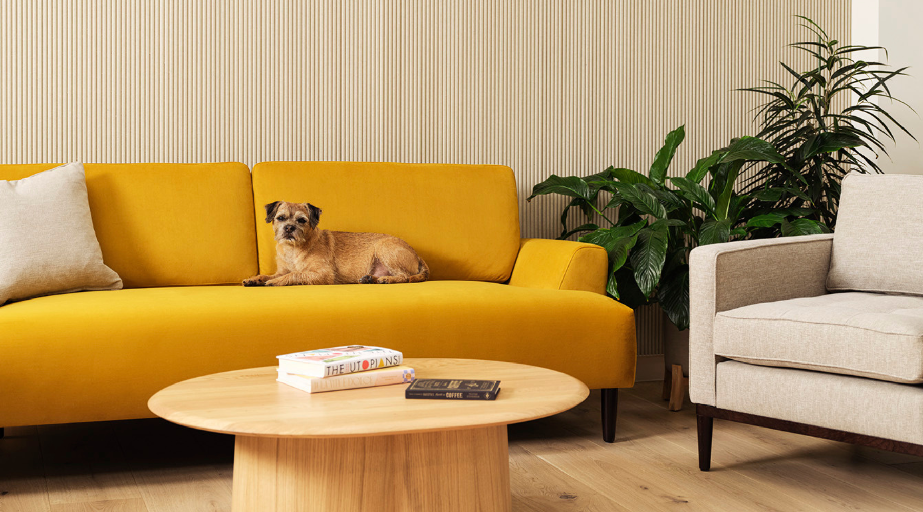7 interior design ideas for pet owners – Swyft