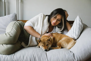 Your Guide to Pet-Friendly Sofas