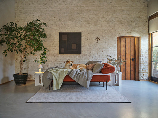 Let's Talk Sofa Beds & Why You Need One in Your Home