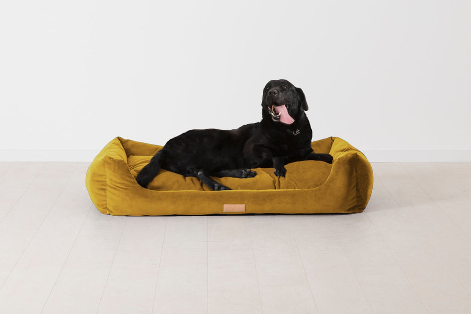Dog Beds Sofas Upholstered