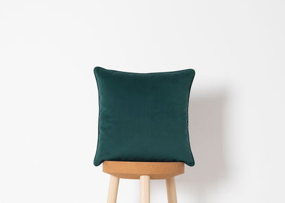 Cushion 01