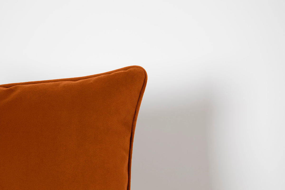 Cushion 01