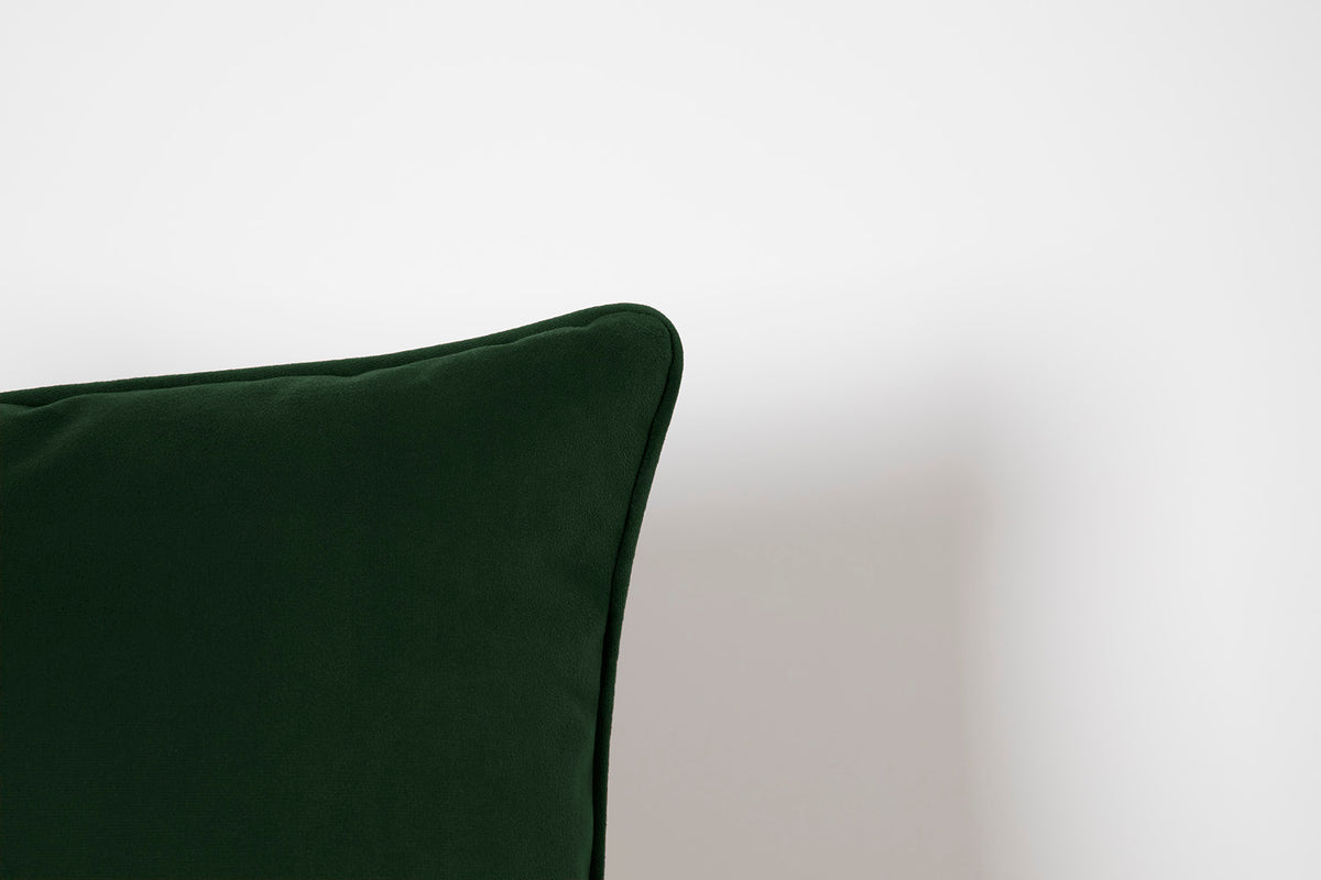 Cushion 01