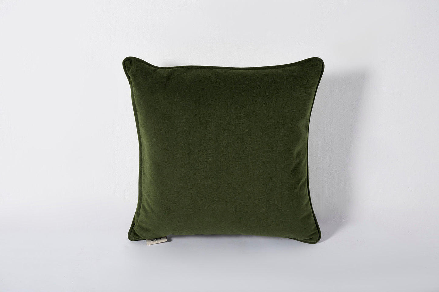 Cushion 01