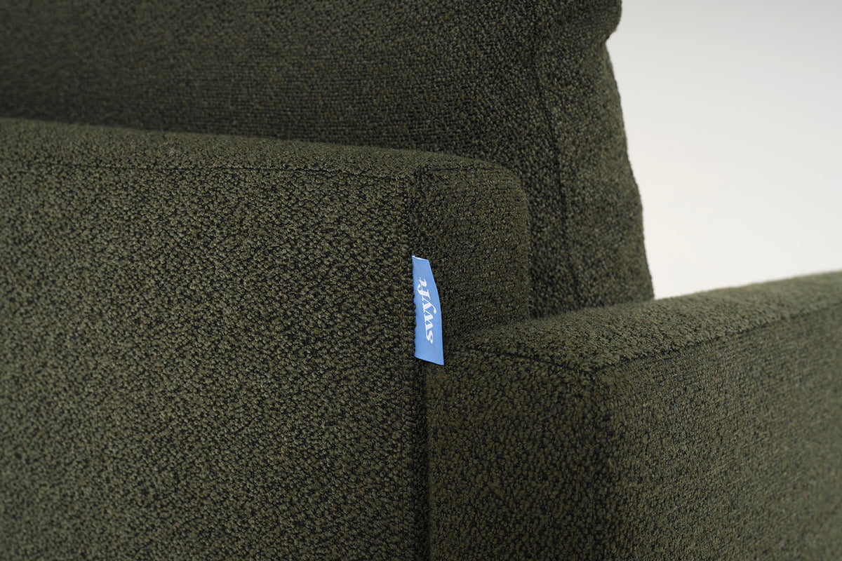 Model 01 Armchair, Fern
