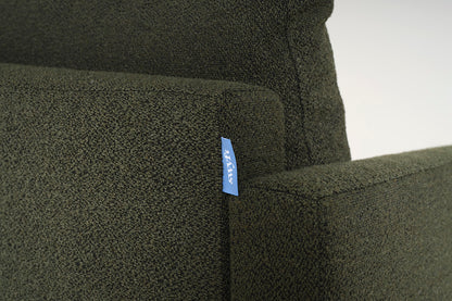 Model 01 Armchair, Fern