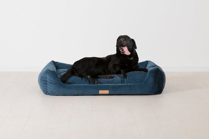 K9-02 Dog Basket Large, Teal